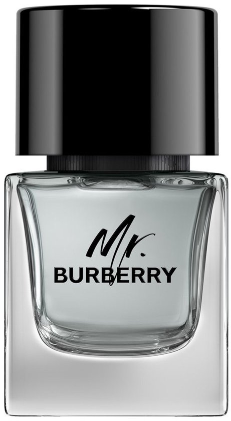Burberry Mr. Burberry Eau de Toilette 50ml