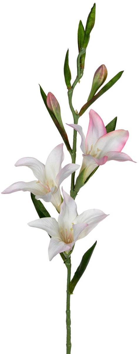 Louis maes - Gladiolus l70cm wit/roze kunstbloem Louis Maes