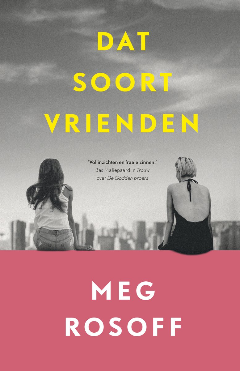 Boekcover 'Dat soort vrienden' van Meg Rosoff. Twee jonge vrouwen kijken uit over de stad. De titel is geel.