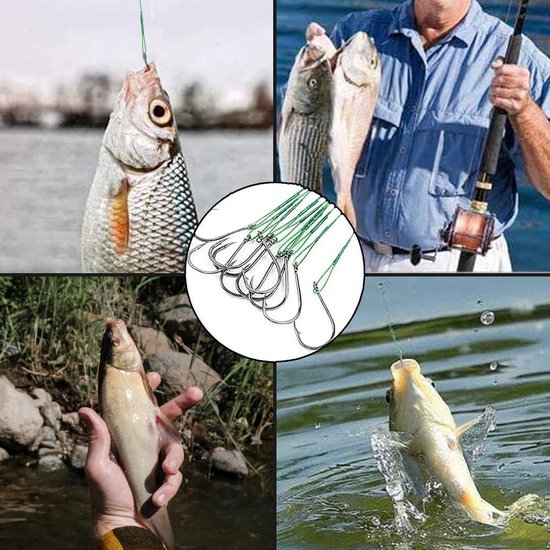 Vishaken Zee Vishaken met Weerhaak en Oog - Verschillende Soorten Vis voor Zee, Meer en Rivier - 40 Stuks (Platte Haak 25 cm) — afbeelding 5