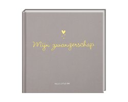 Baby invulboeken - Mijn zwangerschap