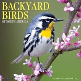 Backyard Birds Kalender 2022