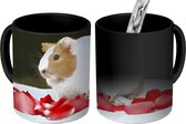 Magische Mok - Foto op Warmte Mokken - Koffiemok - Lieve cavia - Magic Mok - Beker - 350 ML - Theemok