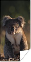 Poster Koala - Zon - Dier - Kids - Jongens - Meiden - 80x160 cm