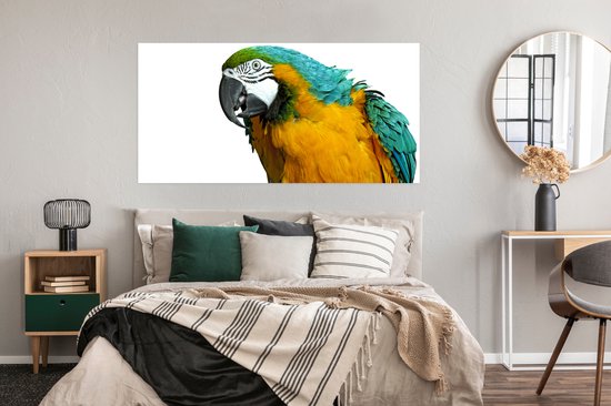 Affiche Perroquet - Vogel - Ressorts - Portrait - 150x75 cm