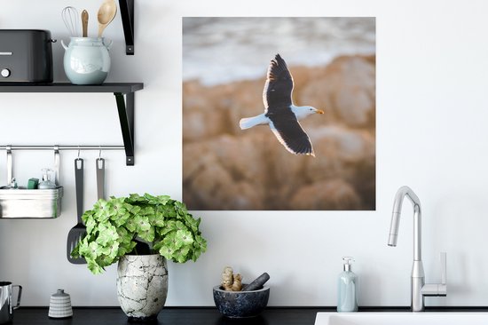 Affiche Mouette - Vogel - Ciel - 50x50 cm