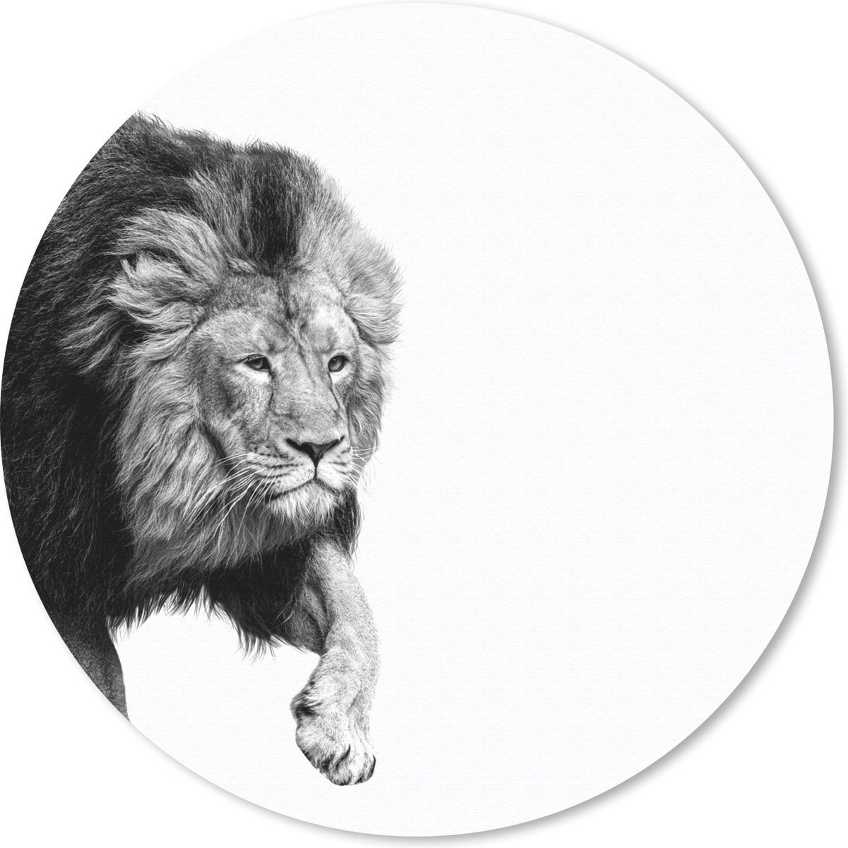 Muismat rond 30x30 cm - Mousepad Leeuw - Dieren - Zwart - Wit - Ronde muismatten