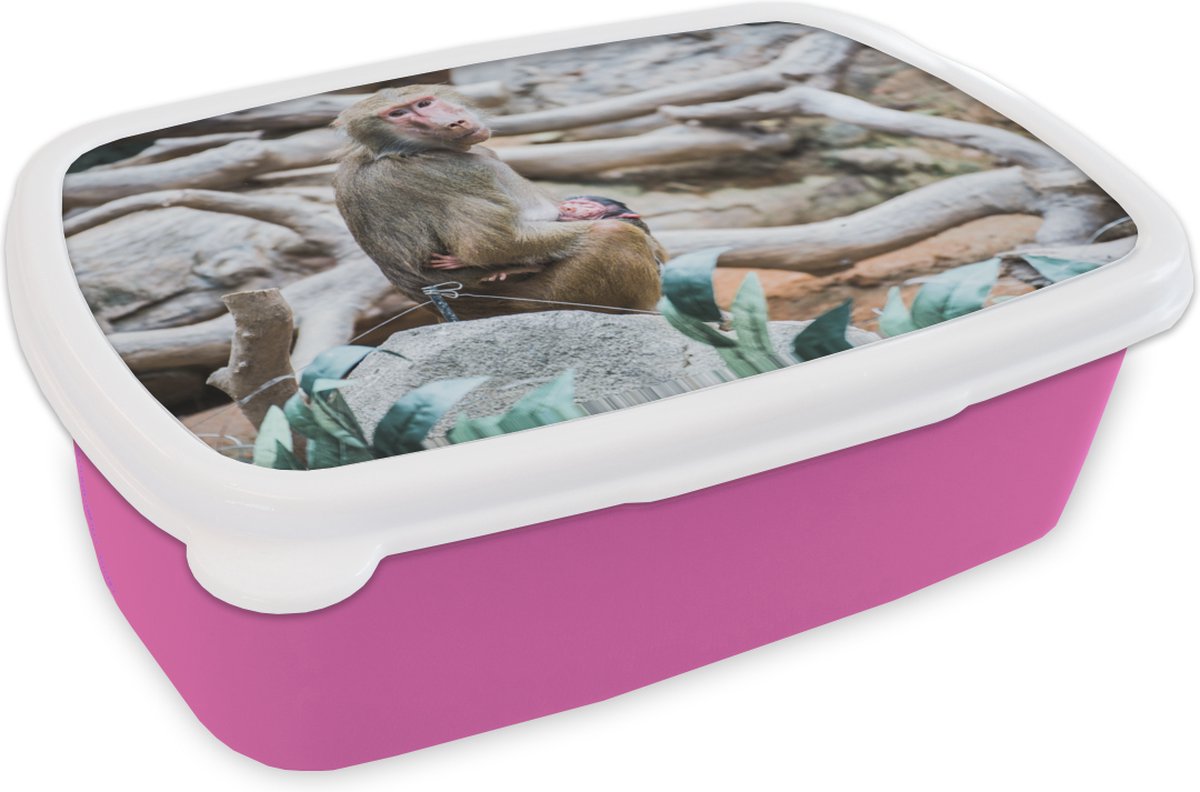 Broodtrommel Roze - Lunchbox - Brooddoos - Aap - Jong - Tak - 18x12x6 cm - Kinderen - Meisje