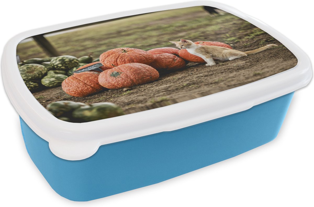 Broodtrommel Blauw - Lunchbox - Brooddoos - Kat - Modder - Pompoen - 18x12x6 cm - Kinderen - Jongen