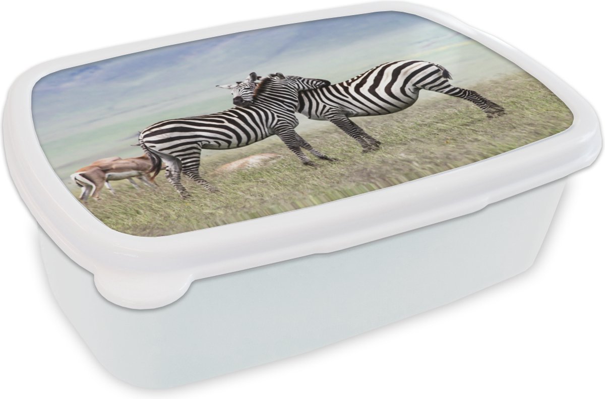 Broodtrommel Wit - Lunchbox - Brooddoos - Zebra's - Gras - Zwart - Wit - 18x12x6 cm - Volwassenen