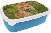 Broodtrommel Blauw - Lunchbox - Brooddoos - Rode vos - Gras - Ogen - 18x12x6 cm - Kinderen - Jongen