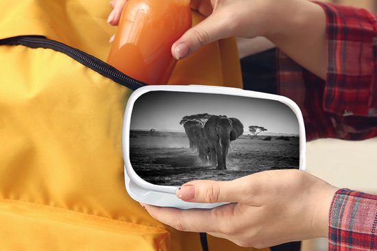 Broodtrommel Wit - Lunchbox - Brooddoos - Olifanten in Kenia in zwart-wit - 18x12x6 cm - Volwassenen