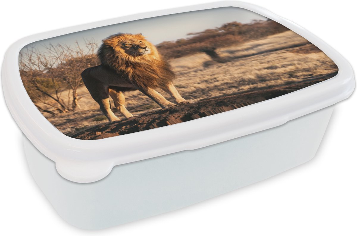 Broodtrommel Wit - Lunchbox - Brooddoos - Leeuw - Heuvel - Zon - 18x12x6 cm - Volwassenen
