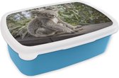 Broodtrommel Blauw - Lunchbox - Brooddoos - Koala - Hout - Planten - Kids - Jongens - Meiden - 18x12x6 cm - Kinderen - Jongen