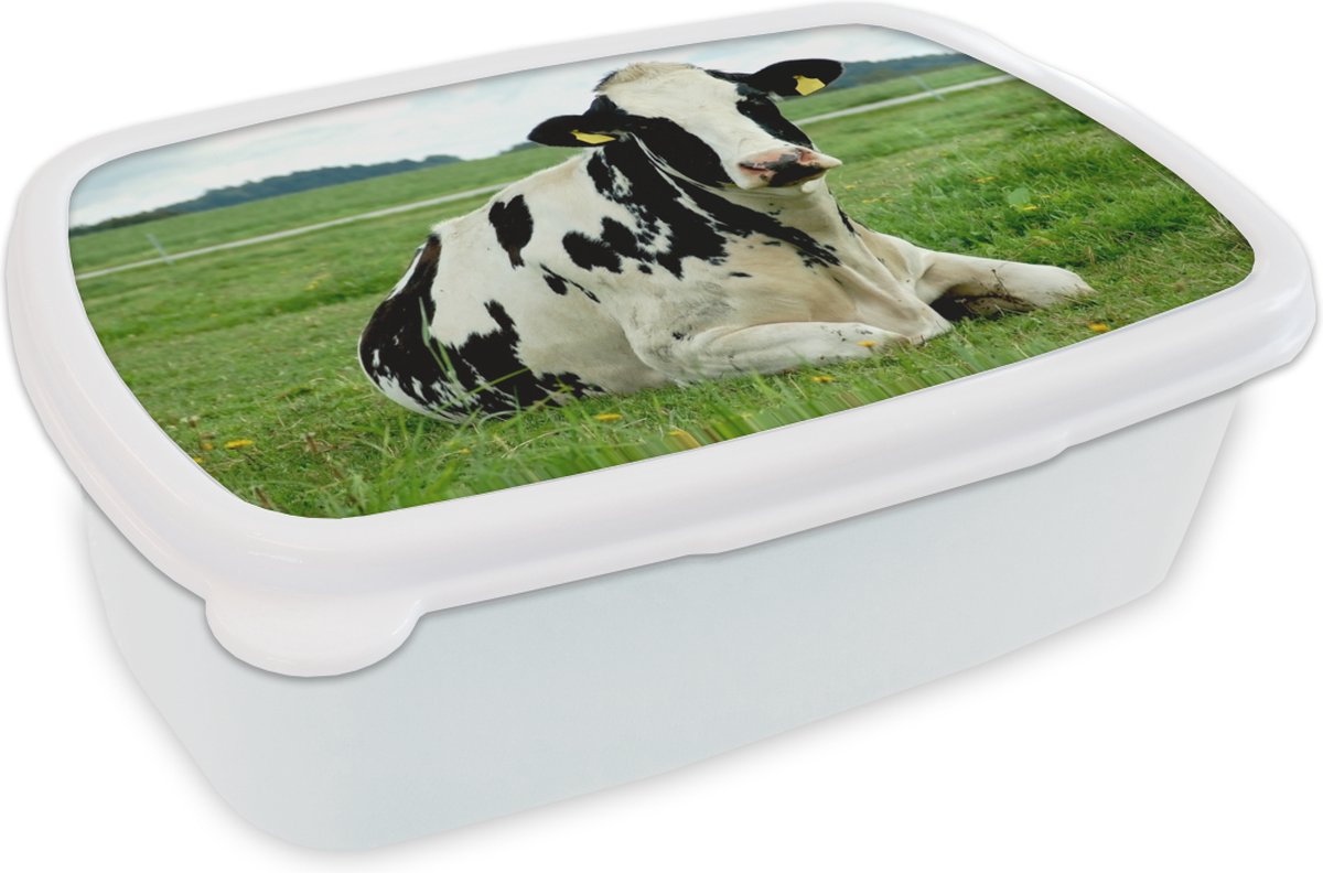 Broodtrommel Wit - Lunchbox - Brooddoos - Koe - Gras - Dieren - Berg - 18x12x6 cm - Volwassenen