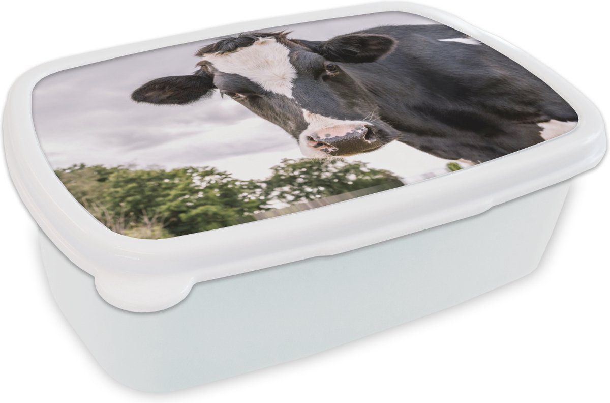 Broodtrommel Wit - Lunchbox - Brooddoos - Koe - Dier - Portret - Zwart - 18x12x6 cm - Volwassenen