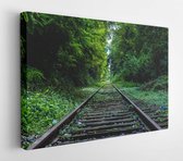 Canvas schilderij - Abandoned forest industry nature -     34950 - 50*40 Horizontal