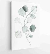 Canvas schilderij - Watercolor eucalyptus dusty green leaf plant herb spring flora isolated on white background -  Productnummer 1499619767 - 40-30 Vertical