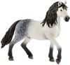 foto van Schleich Horse Club - Andalusiër Hengst - Speelfiguur - Kinderspeelgoed voor Jongens en Meisjes - 5 tot 12 jaar - 13821