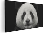 Artaza Canvas Schilderij Panda - Pandakop  - 120x60 - Groot - Foto Op Canvas - Canvas Print