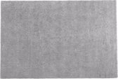 Beliani DEMRE - Vloerkleed - grijs - polyester