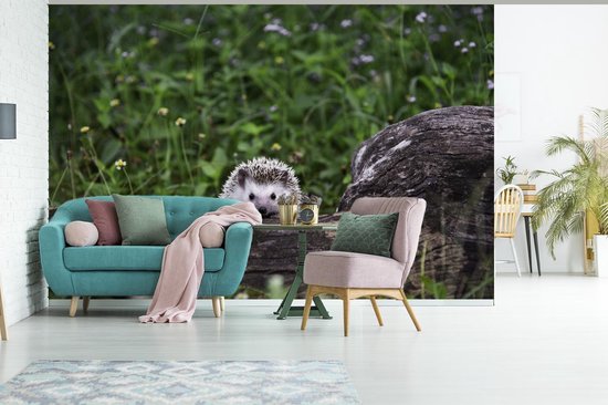Papier peint photo peint photo vinyle - Petit hérisson sur un tronc d'arbre largeur 330 cm x hauteur 220 cm - Tirage photo sur papier peint (disponible en 7 tailles)