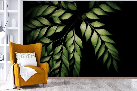 Papier peint photo vinyle - Les branches d'une fougère sur fond noir largeur 330 cm x hauteur 220 cm - Tirage photo sur papier peint (disponible en 7 tailles)