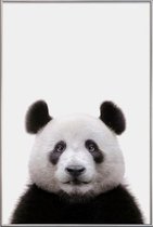 JUNIQE - Poster met kunststof lijst Panda -30x45 /Wit & Zwart