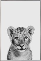 JUNIQE - Poster met kunststof lijst Lion Cub II Classic -13x18 /Wit &