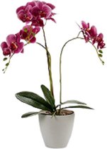 Ibergarden Kunstplant Orchidee 48 Cm Roze/grijs