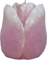Roze tulp figuurkaars met tulpen geur 100/90 (35 uur)