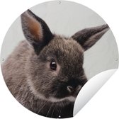 Affiche de jardin Lapins ronds - Portrait d'un lapin Poster Jardin - Affiche de jardin ronde 60x60 cm - Toile de jardin / Toile d'extérieur / Peintures pour l'extérieur (décoration de jardin)