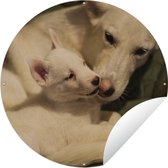 Jardin rond Mère avec chiot - 120x120 cm - Poster de jardin rond - Extérieur XXL / Groot format !