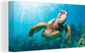 Canvas Schilderij Zwemmende schildpad fotoafdruk - 80x40 cm - Wanddecoratie