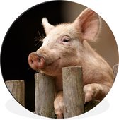 Cercle mural - Cercle mural - Cochon - Animal - Clôture - Aluminium - ⌀ 120 cm - Intérieur et Extérieur XXL