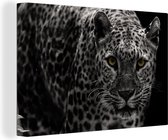 Canvas schilderij 150x100 cm - Wanddecoratie Zwart-wit foto van een gekleurde luipaard - Muurdecoratie woonkamer - Slaapkamer decoratie - Kamer accessoires - Schilderijen