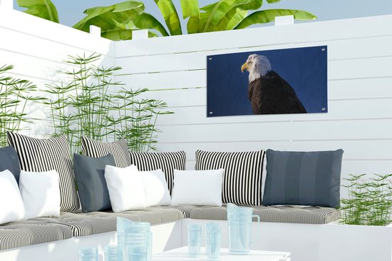 Poster de jardin Aigle - Gros plan - Branche - 60x30 cm - Toile de jardin - Poster extérieur