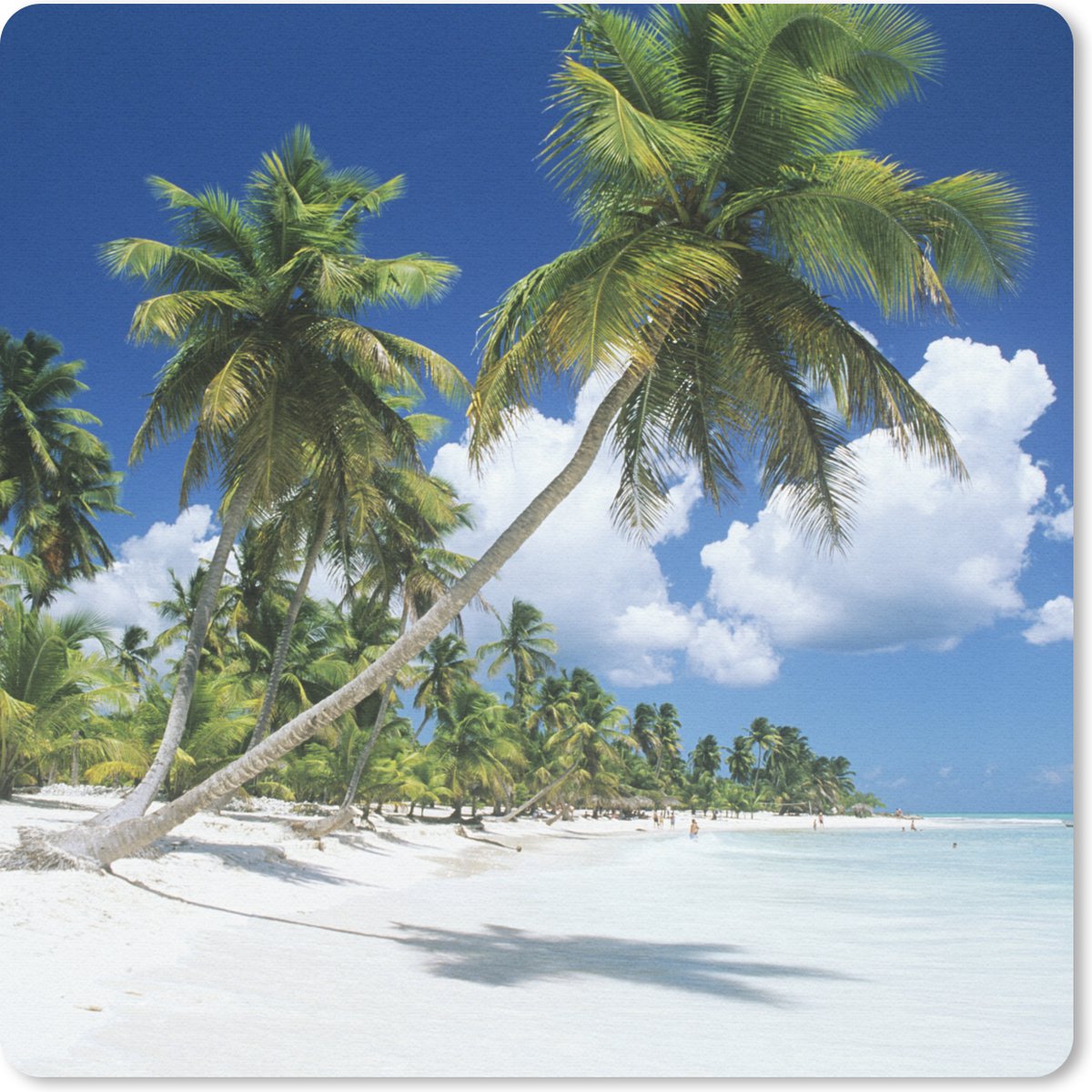 Muismat 30x30 cm - Mousepad Strand - Palmboom - Tropisch - Muismatten