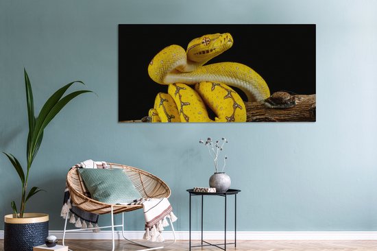 Tableau Peinture Serpent - Branche - Jaune - 160x80 cm - Décoration murale