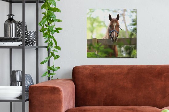 Tableau sur toile Cheval - Nature - Clôture - 50x50 cm - Décoration murale
