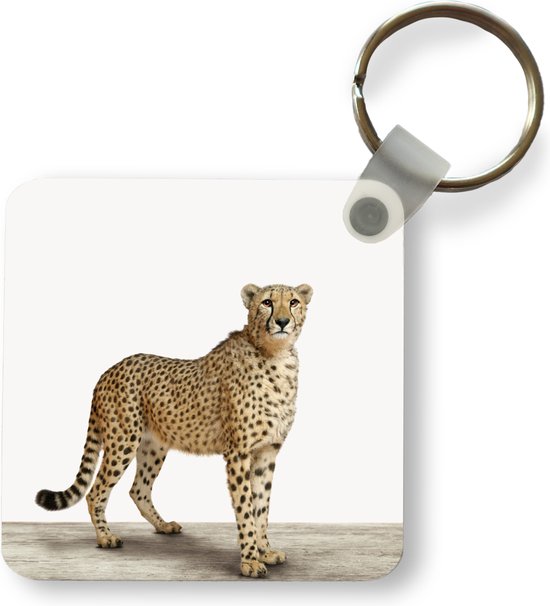 62400 Sleutelhanger, sneeuwluipaard Eleni Snowbell, 10 cm, wit, trouwe metgezel van pluche voor rugzak of tas, sleutelhouder voor klein en groot 62400 Sleutelhanger, sneeuwluipaard Eleni Snowbell, 10 cm, wit, trouwe metgezel van pluche voor rugzak of tas, sleutelhouder voor klein en groot