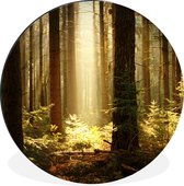 Cercle mural - Cercle mural - Forêt - Arbres - Soleil - Aluminium - ⌀ 30 cm - Intérieur et Extérieur