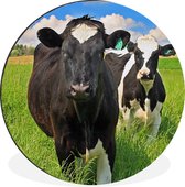 Cercle Mural - Cercle Mural - Vaches - Herbe - Nature - Animaux - Aluminium - Dibond - 120x120 cm - Intérieur et Extérieur XXL