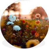 Wall Circle - Wall Circle Indoor - ⌀ 150 cm - Plastique - Fleurs colorées