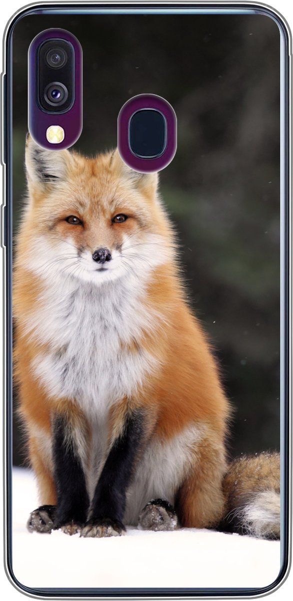 Telefoonhoesje Geschikt voor Samsung Galaxy A40 hoesje - Vos - Sneeuw - Rood - Siliconen Telefoonhoesje Telefoonhoesje