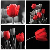 Trend24 - Canvas Schilderij - Set Van Rode Tulpen - Schilderijen - Bloemen - 30x30x2 cm - Rood
