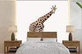 Behang - Fotobehang Dier - Giraf - Wit - Breedte 280 cm x hoogte 280 cm
