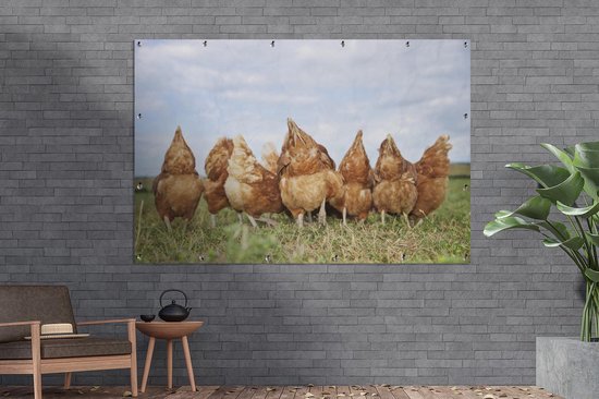 Muurdecoratie Kippen in het veld - 180x120 cm - Tuinposter - Tuindoek - Buitenposter