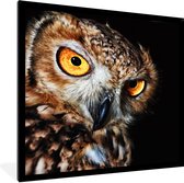 Cadre photo avec affiche - Hibou - Zwart - Jaune - 40x40 cm - Cadre pour affiche