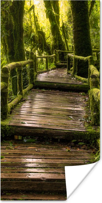 Affiche forêt tropicale et jungle - 75x150 cm